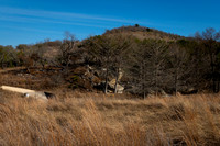 Bamberger Camp